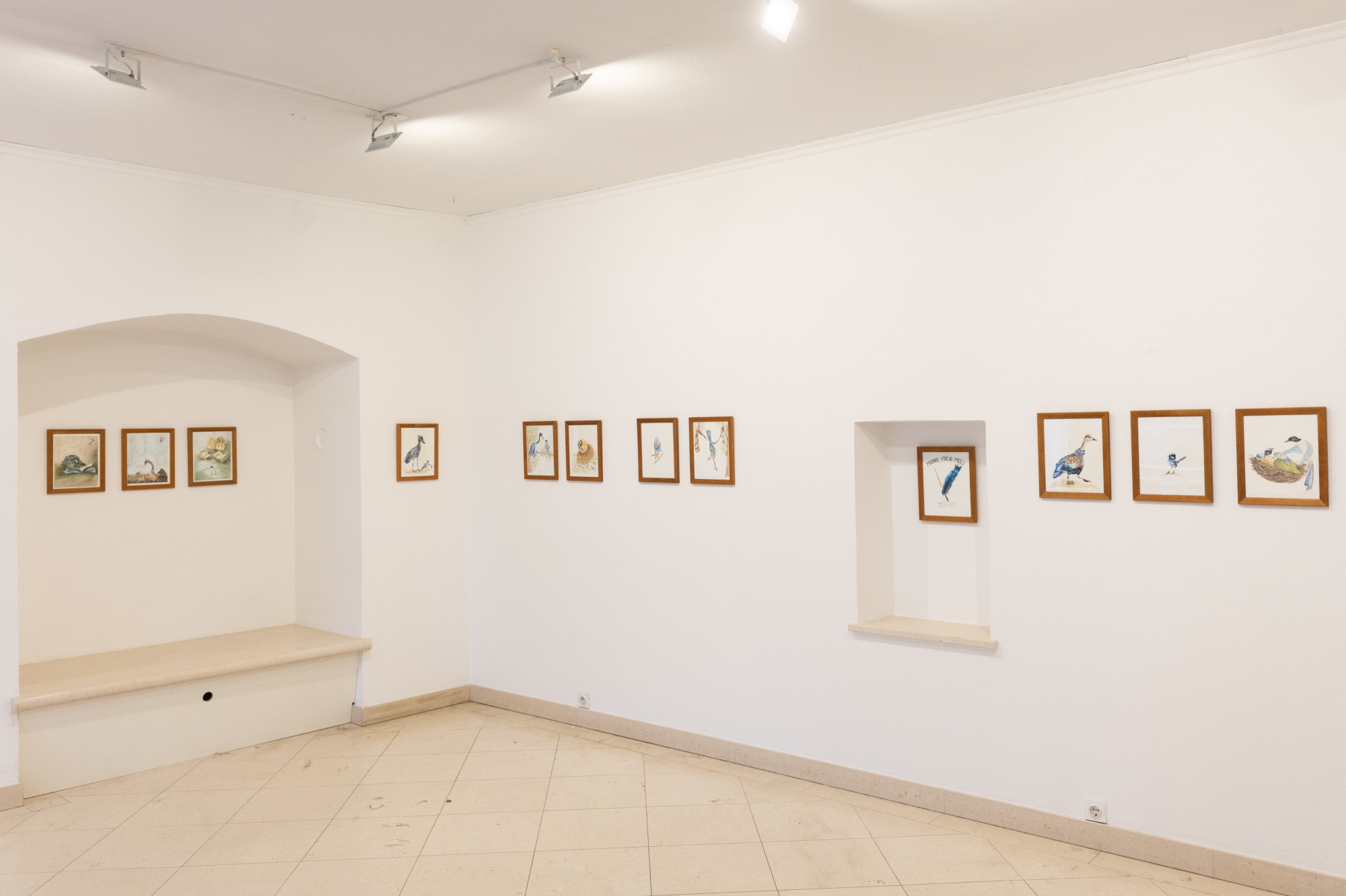 Galerija DLUL, foto: Matej Štalcer